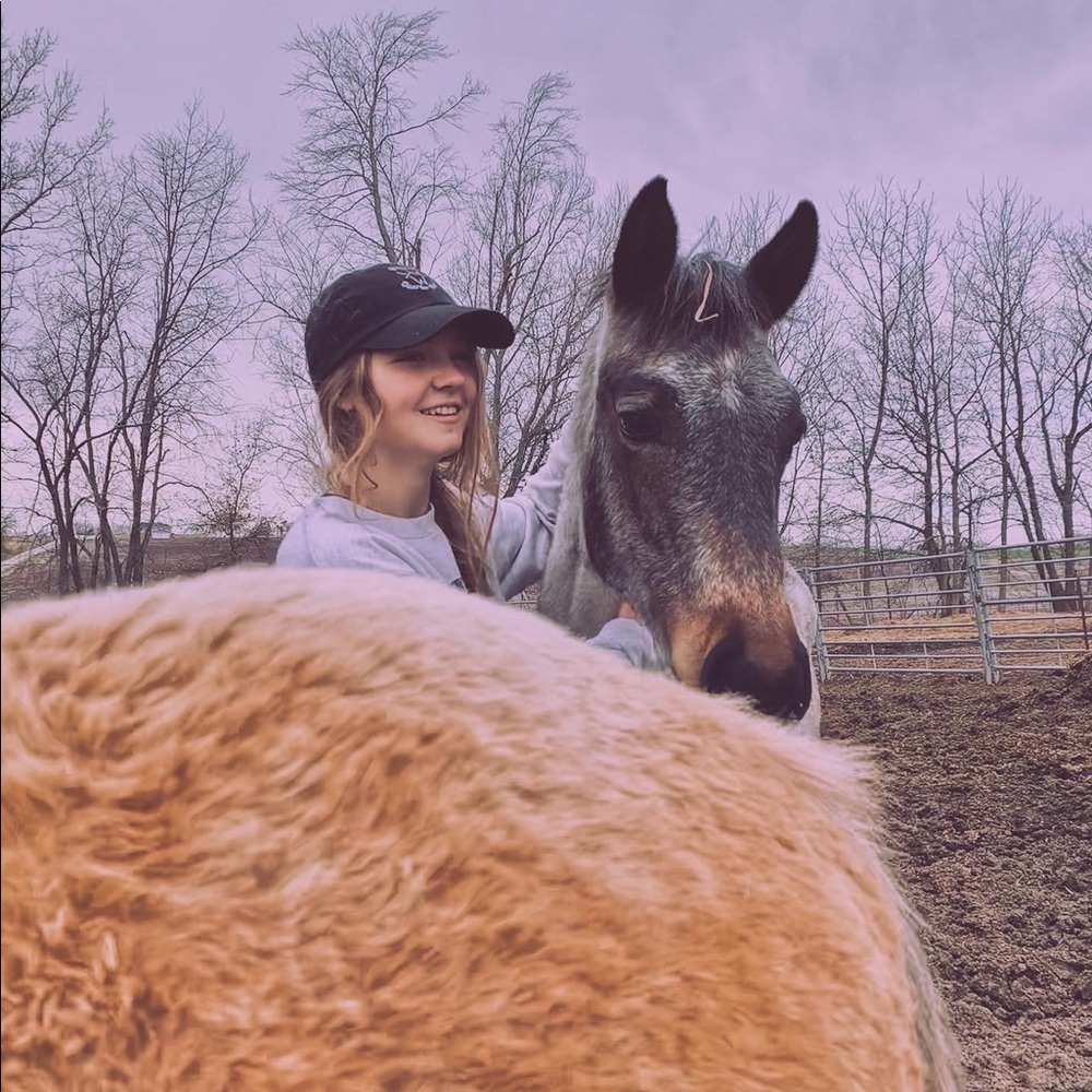 Meet your Posher, Montana